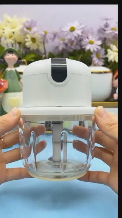 Mini Electric Meat/Garlic Chopper Portable Food Processor